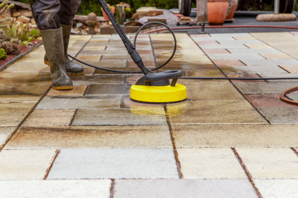 Best Animal Enclosure Cleaning  in Wahpeton, ND